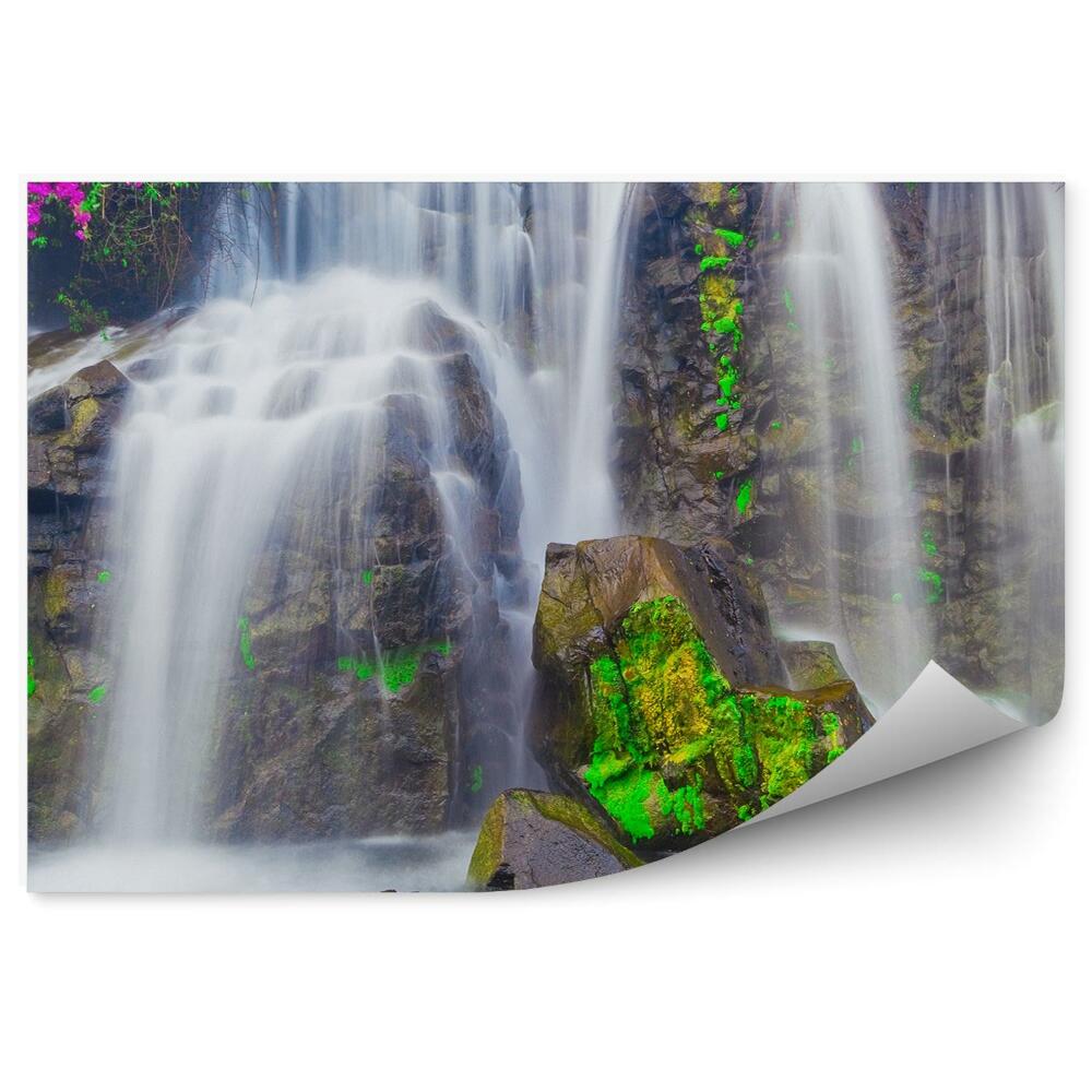 Fototapet pentru perete Cascada Flori Hawaii Plante De Palmier