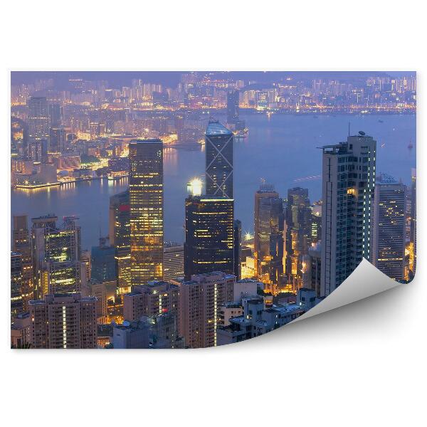 Fototapet pentru perete Hong Kong Zgârie-Nori Copaci Plante Lumini Golf Noapte