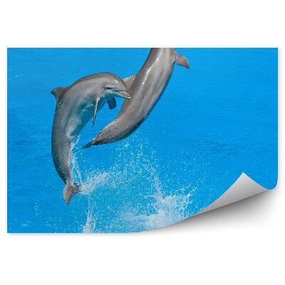 Decor fototapet Delfinii În Delfinarium