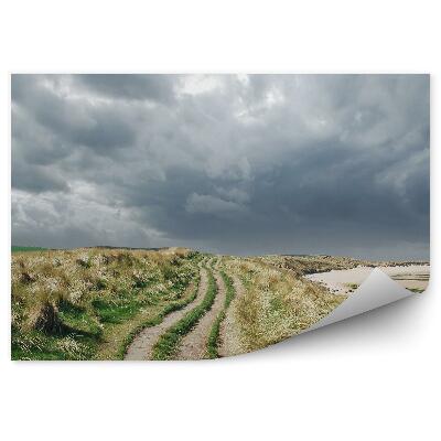 Decor fototapet Poteca Cu Iarbă Cu Cer Înnorat