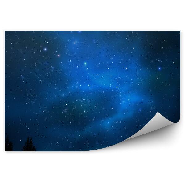 Fototapet perete Univers Cer Plin De Stele Nebuloase Galaxie Copaci Conifere Noapte