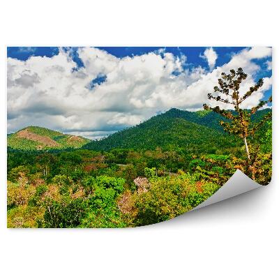 Fototapet vintage Munții tropicali văi natura vegetație verde