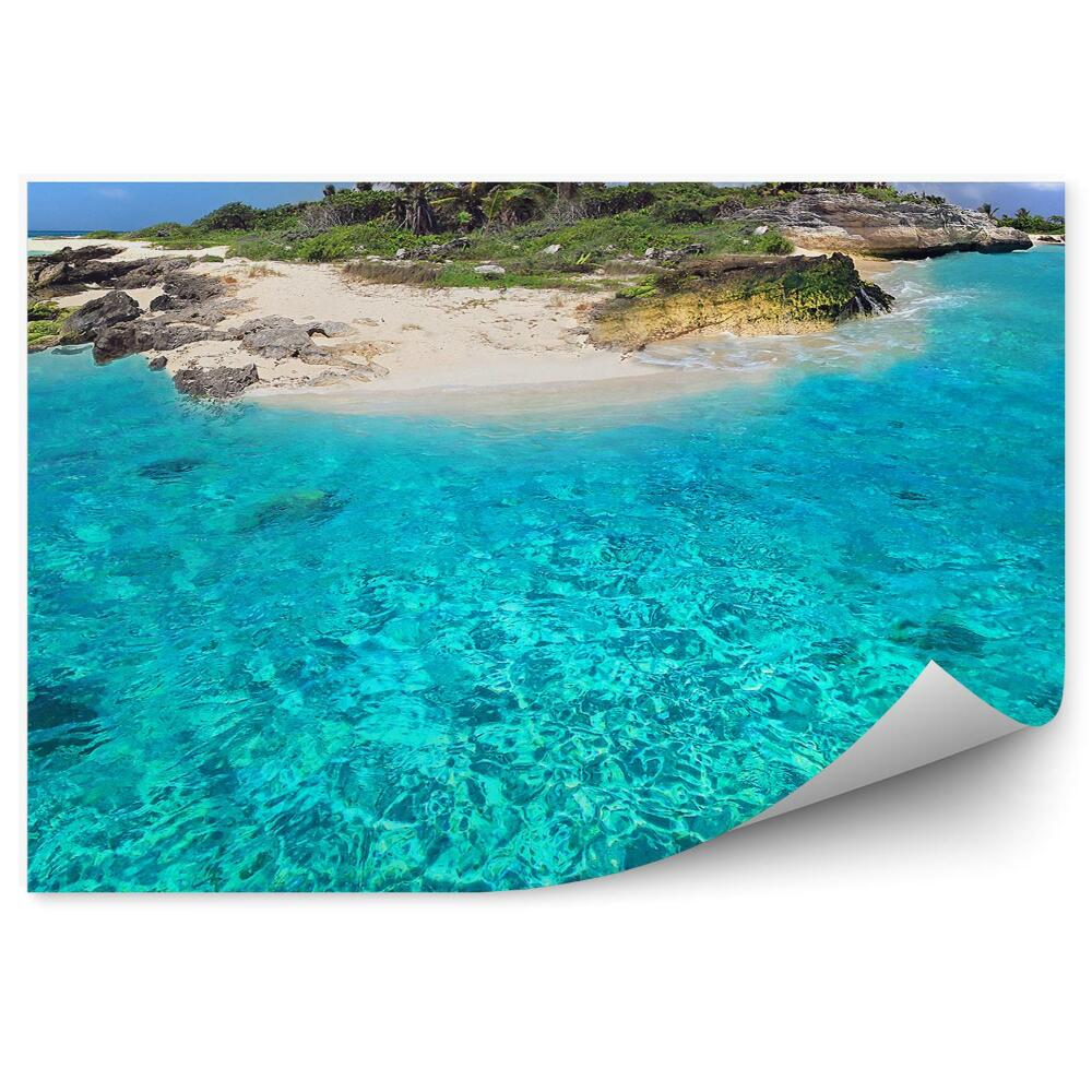 Fototapet Vegetație De Nisip Insulă De Apă Albastră