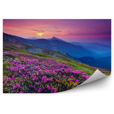 Fototapeta Górski krajobraz