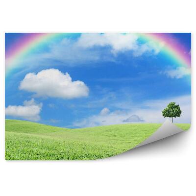 Fototapet pentru perete Iarbă Copac Curcubeu Cer Nori
