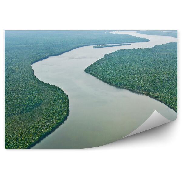 Fototapet perete Copaci Din Jungla Fluviului Amazon