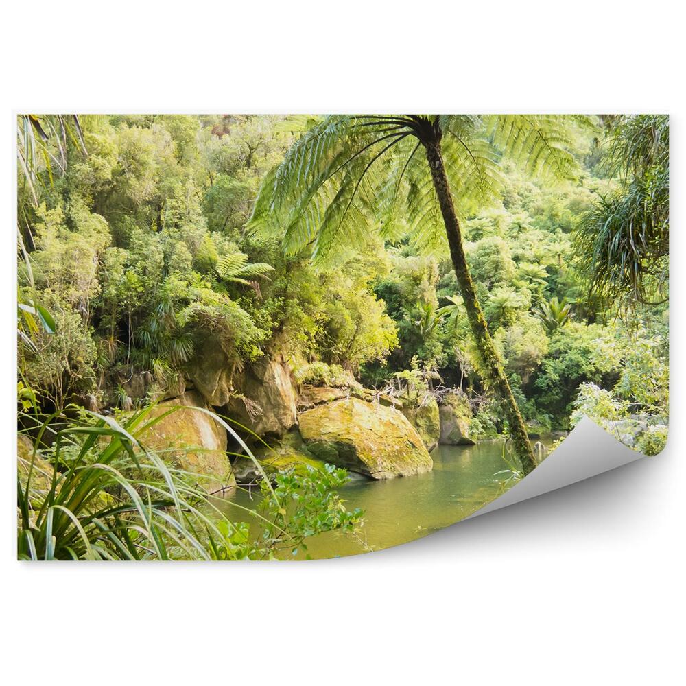 Fototapet pentru perete Pădure Tropicală, Lac, Palmieri