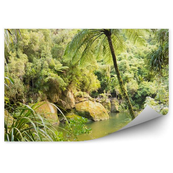 Fototapet pentru perete Pădure Tropicală, Lac, Palmieri