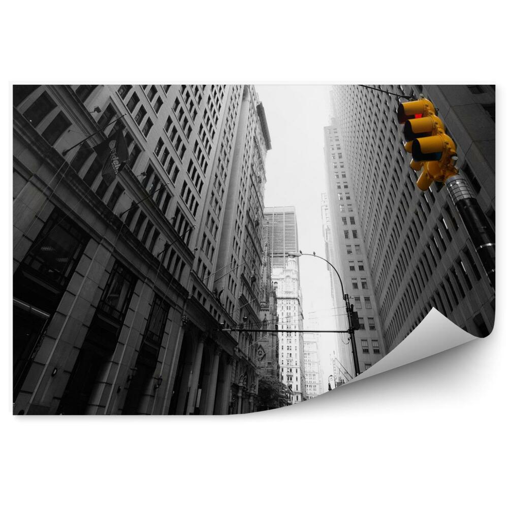 Fototapet perete New yorkaise avenue