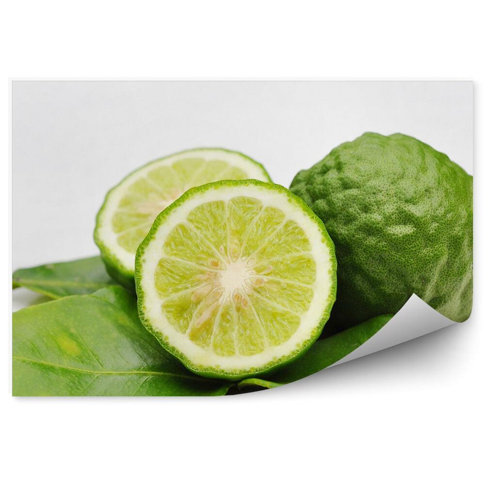 Fototapet perete Frunze verzi citrice de bergamot pe fundal alb