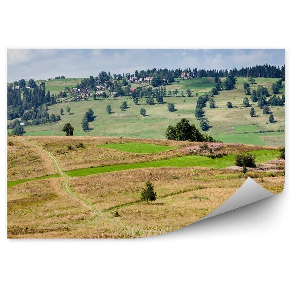 Fototapet perete Calea De Luncă Copaci Plante Peisaj Rural