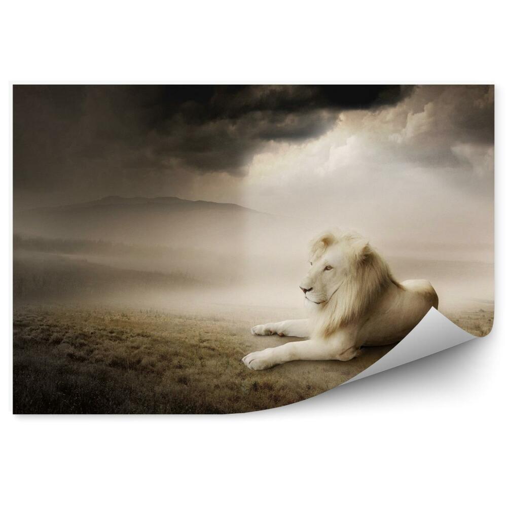 Decor fototapet White lion at sunset