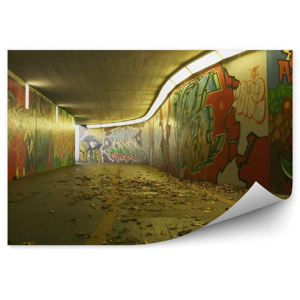 Fototapet perete Pasaj Subteran Cu Graffiti