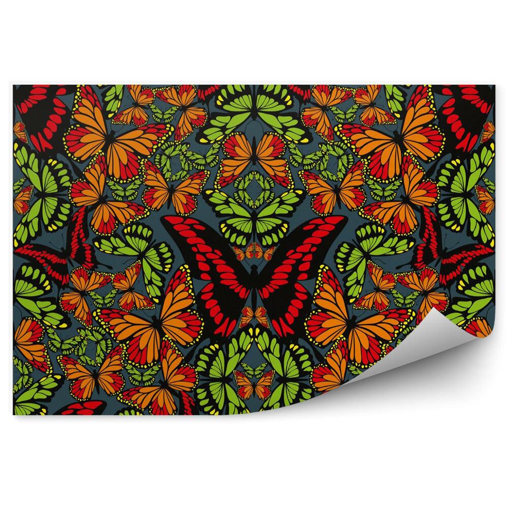 Decor fototapet Tapet fluture