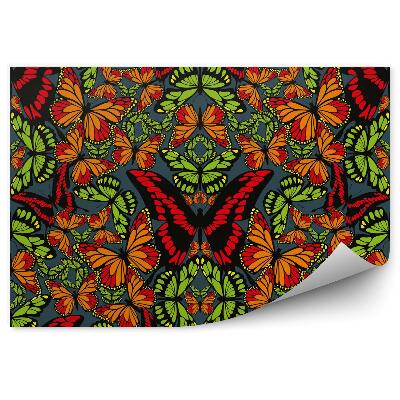 Decor fototapet Tapet fluture