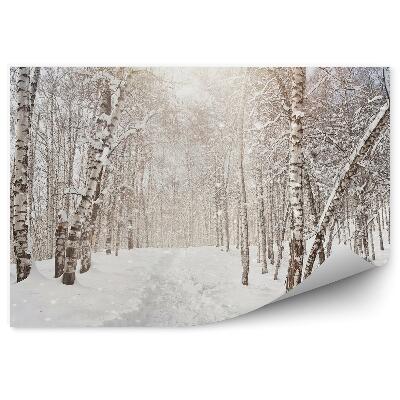 Fototapet vintage Pădurea De Mesteacăn De Iarnă