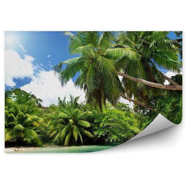 Decor fototapet Ocean Palmieri Cer Nori Seychelles