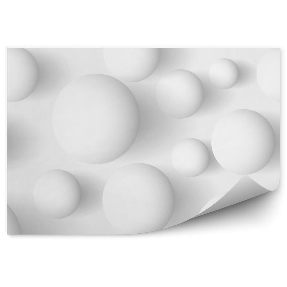 Decor fototapet Bile Albe 3D