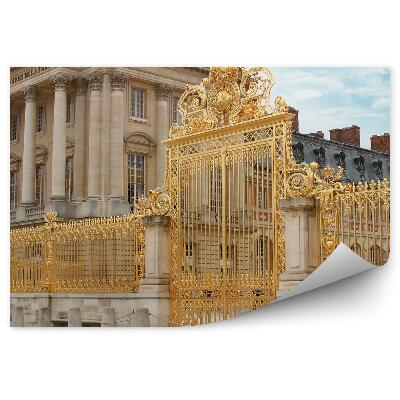 Fototapet pentru perete Palatul Versailles Paris Franța