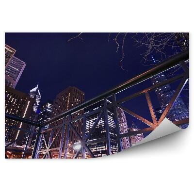 Fototapet Zgârie-Nori De Pe Malul Râului Chicago Luminează Copac