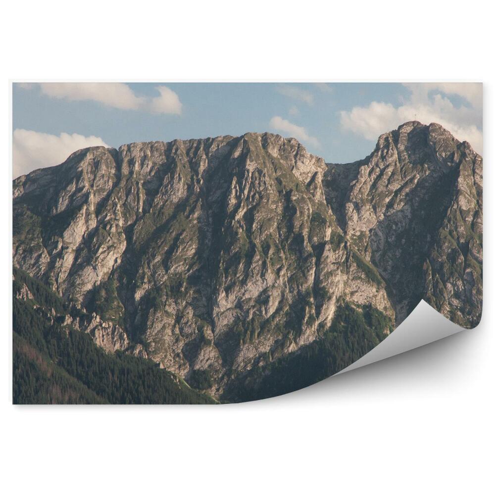 Fototapet perete Munții Tatra, Copaci, Cer, Nori