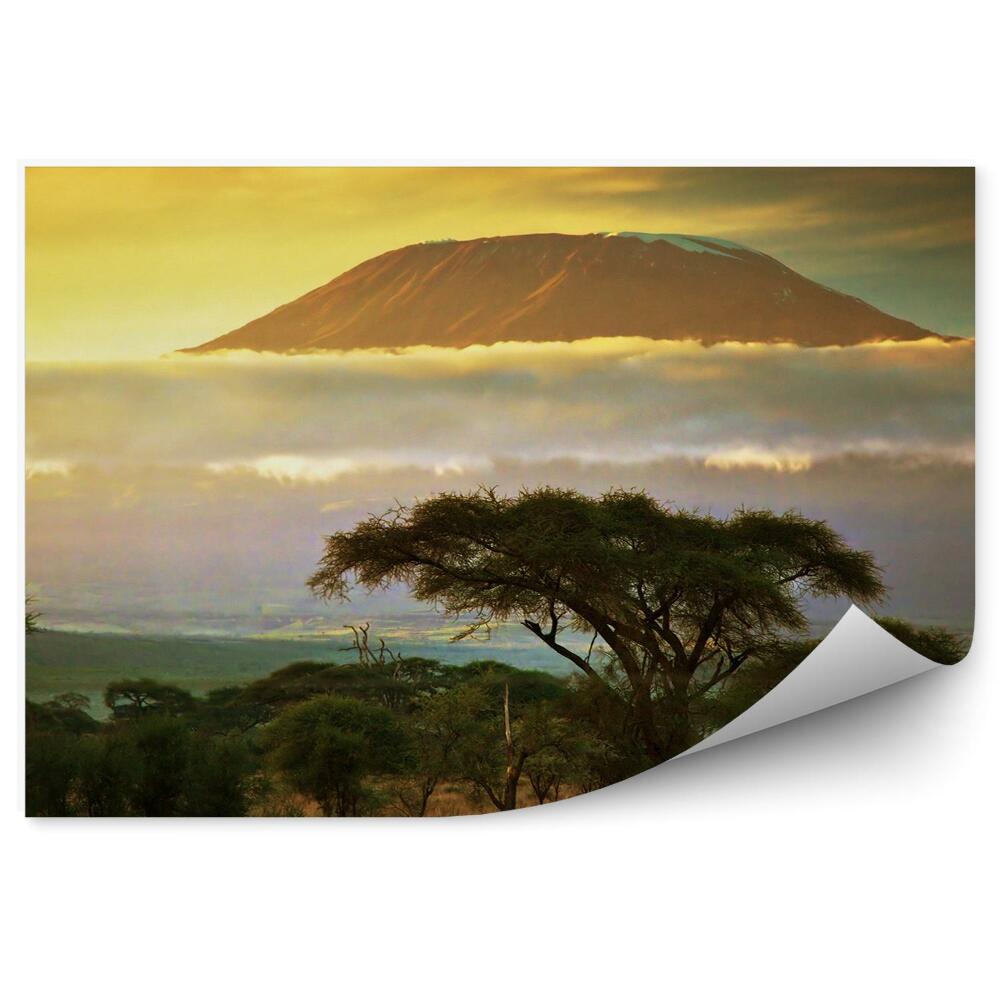 Fototapet perete Muntele Kilimanjaro natura norii kenia