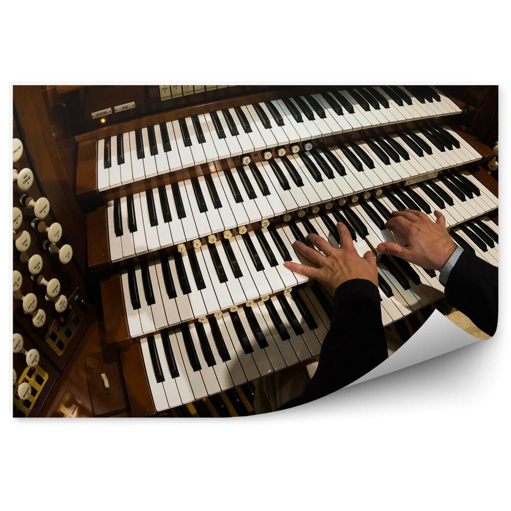 Fototapet Organist De Tastaturi De Orgă