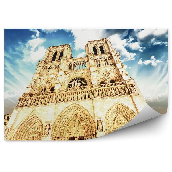 Fototapet vintage Catedrala Notre Dame Paris Copaci Cer Nori