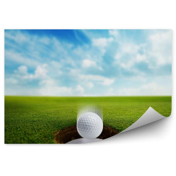 Decor fototapet Gaură minge de golf nori cer iarbă