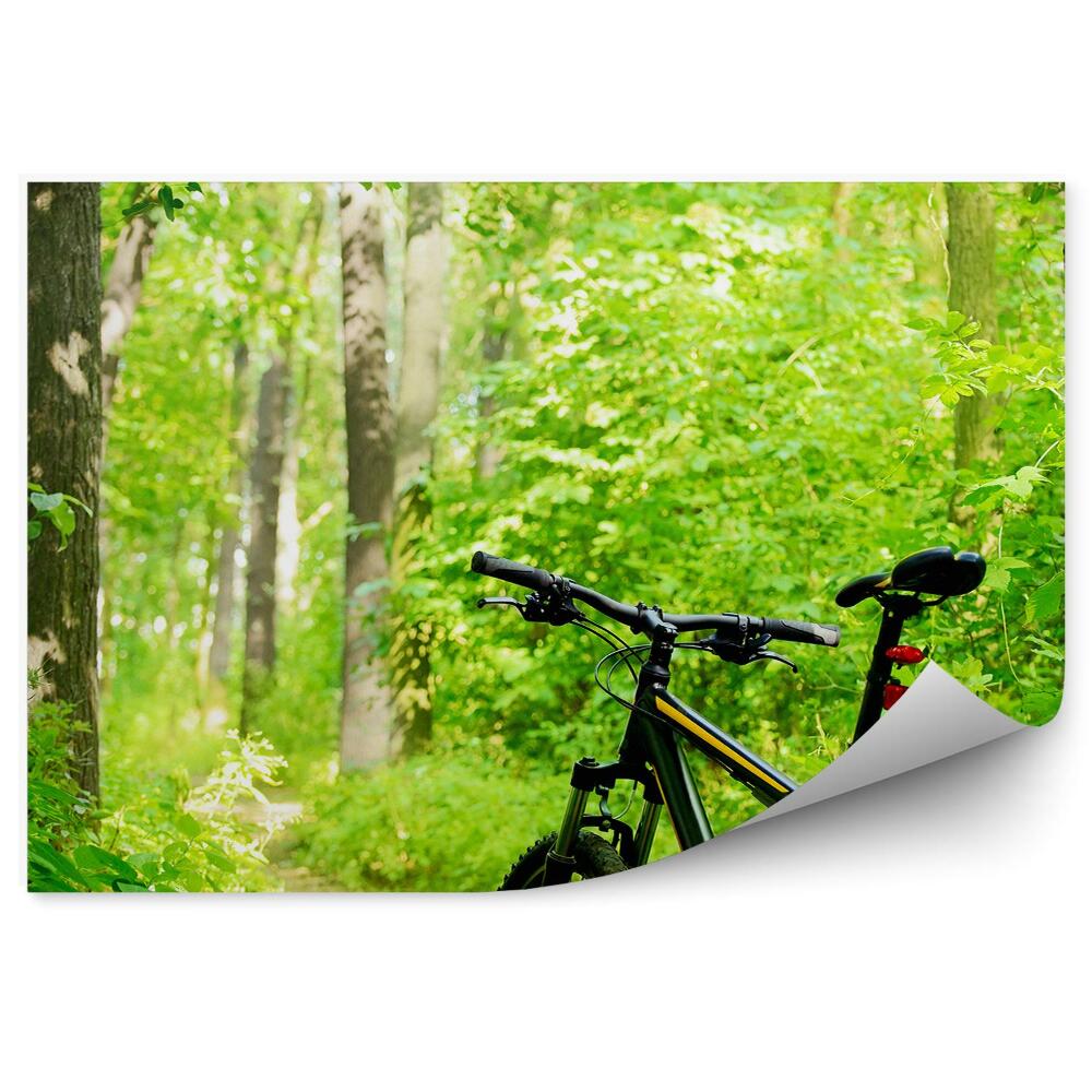 Decor fototapet Mountain bike călătorie pădure natura