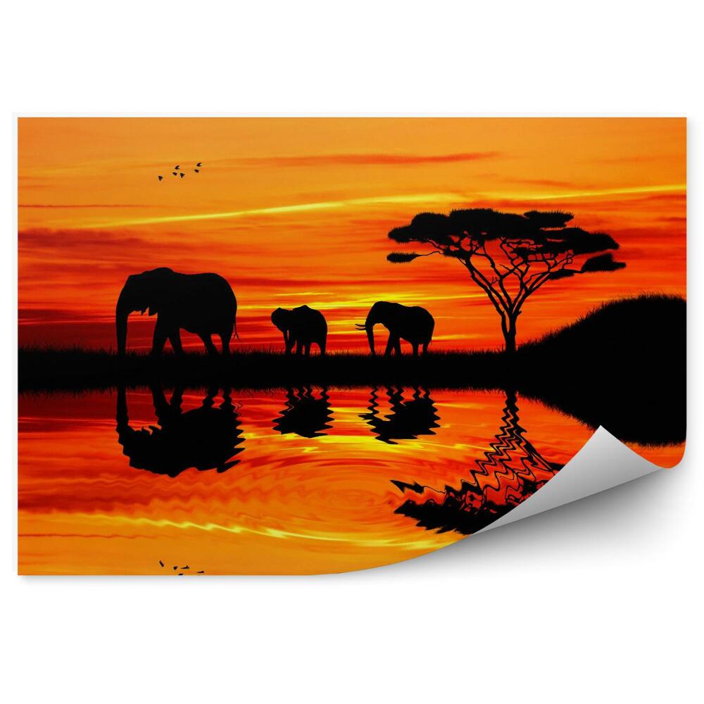 Fototapet perete Elephant silhouette at sunset