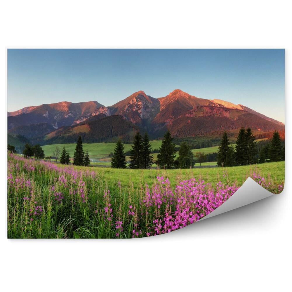 Fototapet pentru perete Panoramă Frumoasă A Munților Din Slovacia