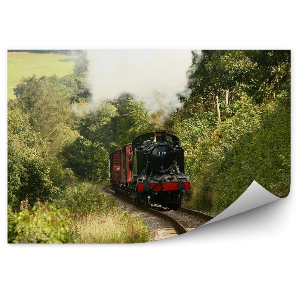 Fototapet vintage Tren retro în mișcare