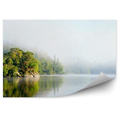 Fototapet perete Stânci Conifere Lac Ceață