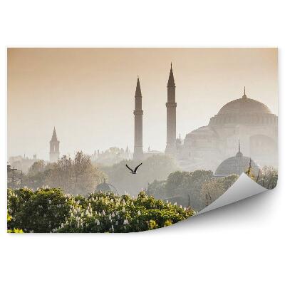 Decor fototapet Sultanahmet Camii / Blue Mosque Istanbul Turkey