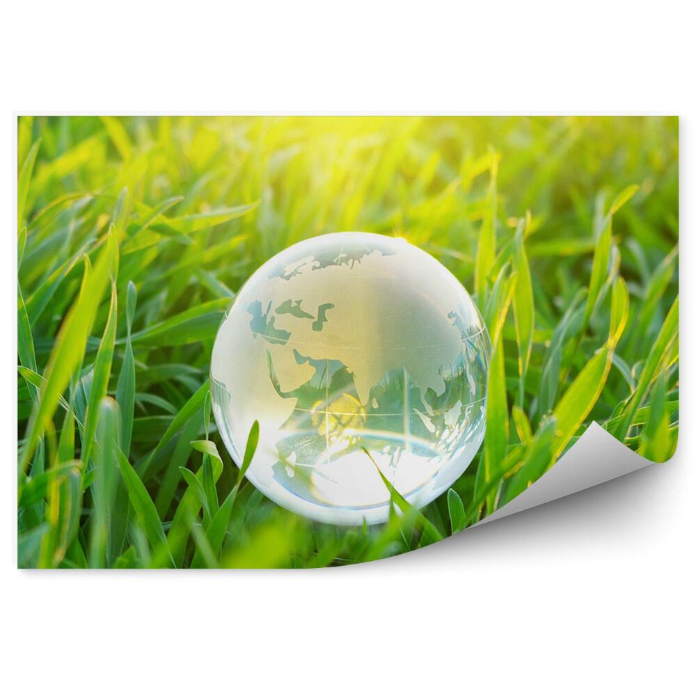 Fototapet pentru perete Sferă Planeta Pământ În Iarbă Verde Natură