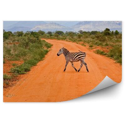 Fototapet pentru perete Kenya zebra drum nisip iarbă munți