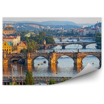 Fototapet pentru perete Râul Vltava vedere din ochi de pasăre poduri turiști