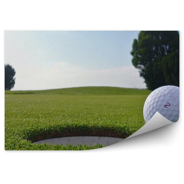 Decor fototapet gaură minge de golf copaci iarbă iarbă apă cer nori