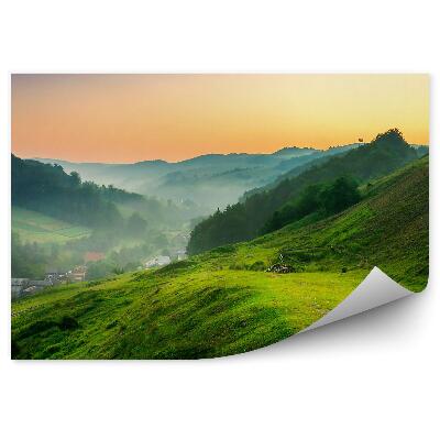 Decor fototapet Răsărit Munți Copaci Iarbă Pantă Rural Ceață