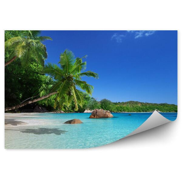 Fototapet perete Plajă Palmieri Ocean Cer Nori Seychelles