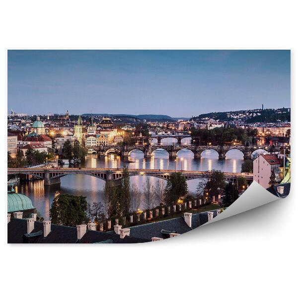 Fototapet pentru perete Poduri, Panorama Orasului Praga, Intuneric