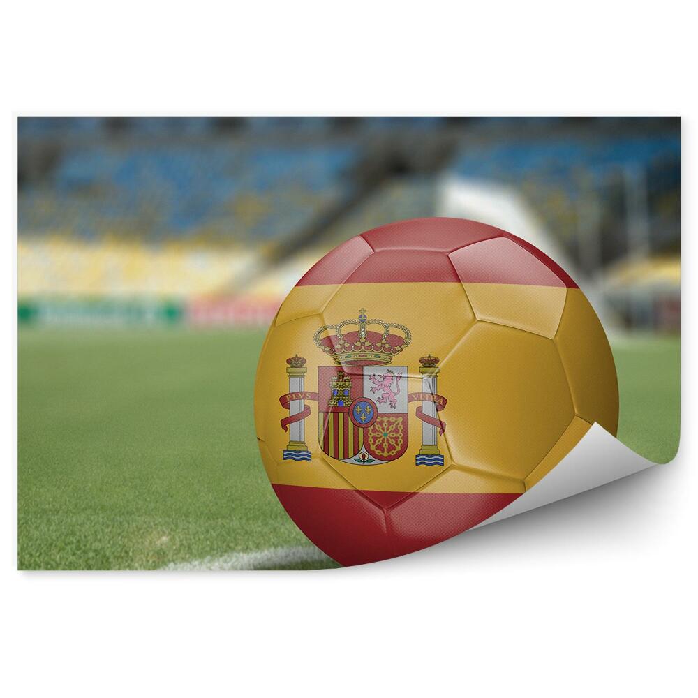 Fototapet vintage Minge de fotbal spaniolă pe teren
