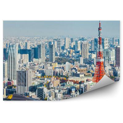 Decor fototapet Vedere Aeriană Cer Nori Tokyo Japonia