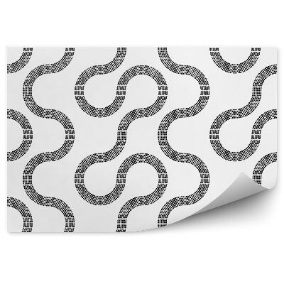 Fototapet Model alb-negru modern