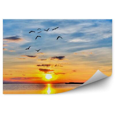 Fototapet perete Apus De Soare Pe Malul Mării