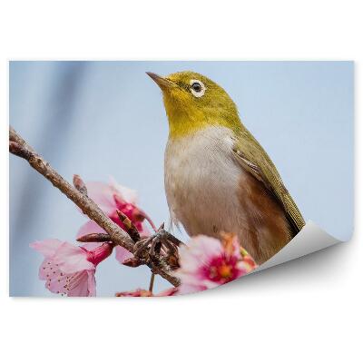 Fototapet Floare roz ramură pasăre cer albastru