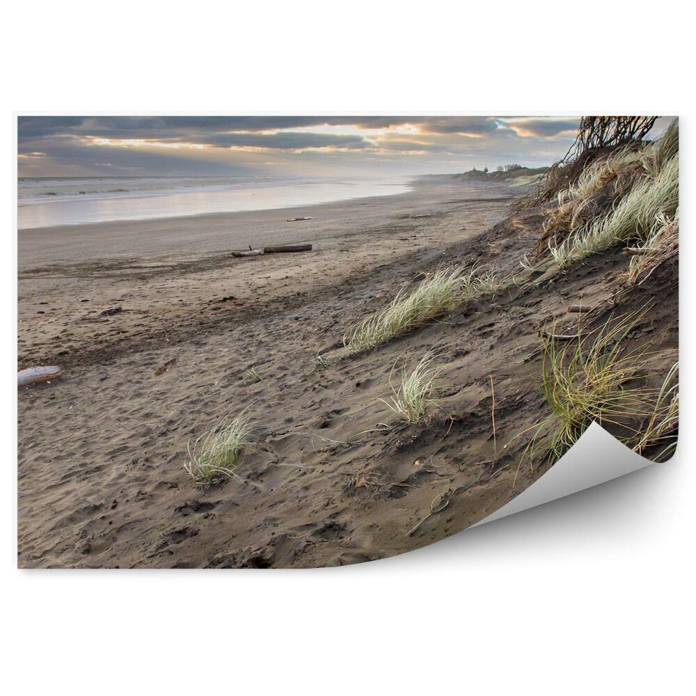 Decor fototapet Zi Furtunoasă Iarbă Plajă Ocean Cer Nori Muriwai