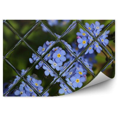 Fototapet Flori mov grădină de flori mov vedere de la fereastră