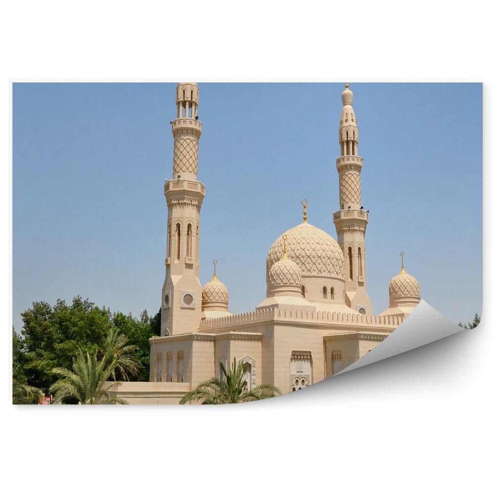Fototapet perete Moschee Dubai Palmieri Iarbă Zgârie-Nori Cer